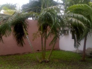 11112008130-1.jpg