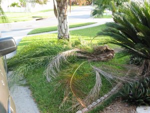 IMG_0269.jpg