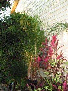 IMG_0276.jpg