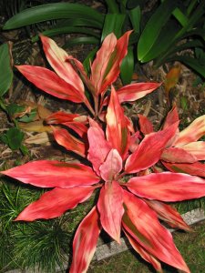 IMG_0230.jpg