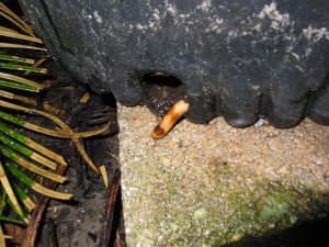 IMG_0405.jpg