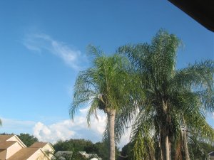 IMG_0464.jpg