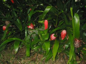 IMG_0451.jpg