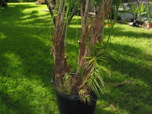 IMG_0679.jpg