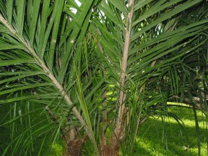 IMG_0680.jpg