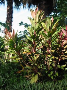 IMG_0845.jpg