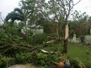 10-24-05hurricane wilma 058.jpg