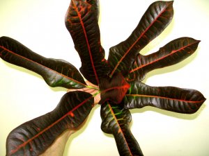 сентябрь 2010 199.jpg