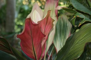 IMG_7175.jpg
