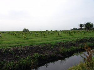 DSC08181.jpg