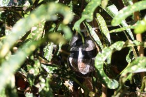 IMG_7818.jpg