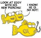 hooked fish.png