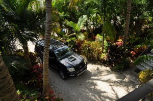 DSC_0205.jpg