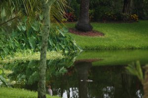 IMG_8207.jpg