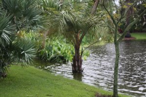 IMG_8232.jpg