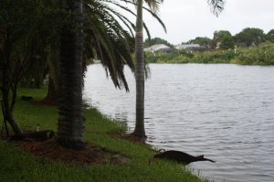 IMG_8243.jpg