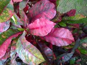 IMG-20120716-01200.jpg