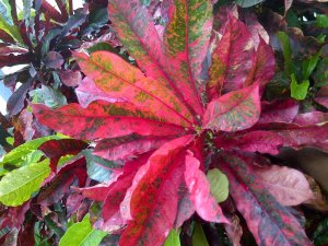 IMG-20120716-01204.jpg