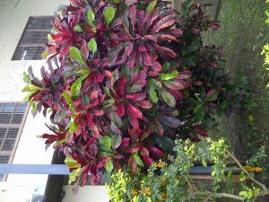 IMG-20120716-01205.jpg