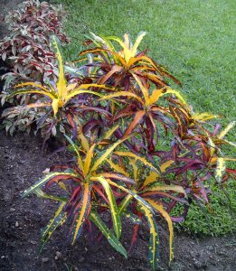 IMG-20120719-01234.jpg