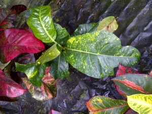 IMG-20120722-01256.jpg