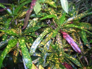DSCN3915.jpg