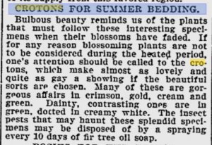 The Philadelphia Record 03.03.1902 pg9.JPG