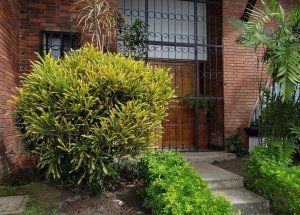 8 LYRATUM aka LYRATA.jpg