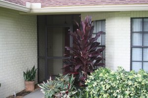 IMG_8632.jpg