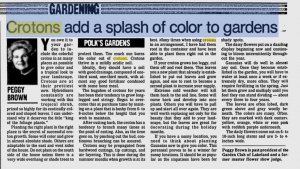 Lakeland Ledger 07.07.95pg5c.JPG