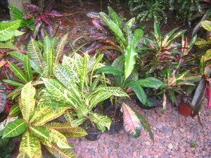 DSCN3939.jpg