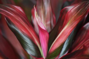 IMG_8790.jpg