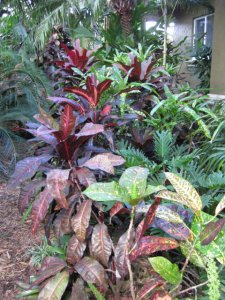 IMG_4663.JPG
