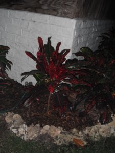 Charles Rutherford 1 FB.JPG