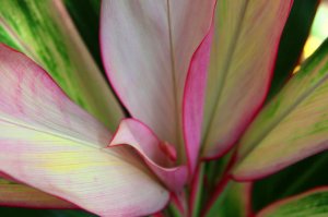 IMG_9975.jpg