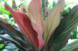 IMG_9979.jpg