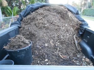 mulching 1.JPG