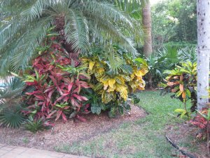 IMG_1705.jpg