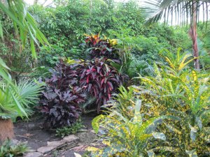 IMG_1708.jpg