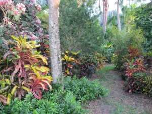 IMG_1711.jpg