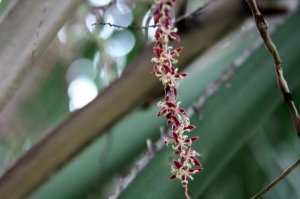 IMG_0473.jpg