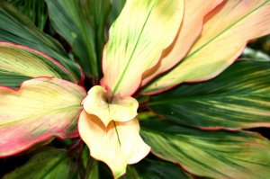IMG_0555.jpg