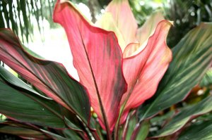 IMG_0556.jpg