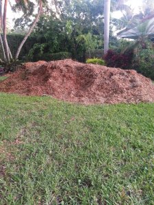 Mulch pile.jpg