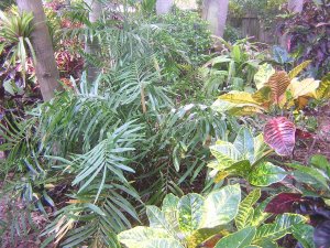 DSCN4379.jpg
