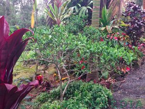 IMG_1150PT.jpg