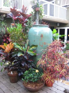 IMG_5176.JPG