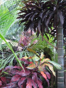 IMG_5197.JPG