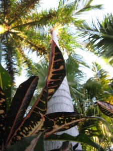 IMG_5202.JPG