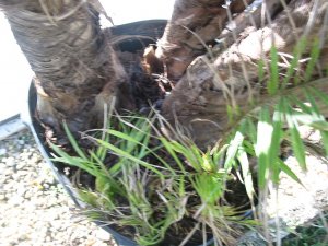 IMG_0975.jpg